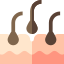 hair loss_4557591